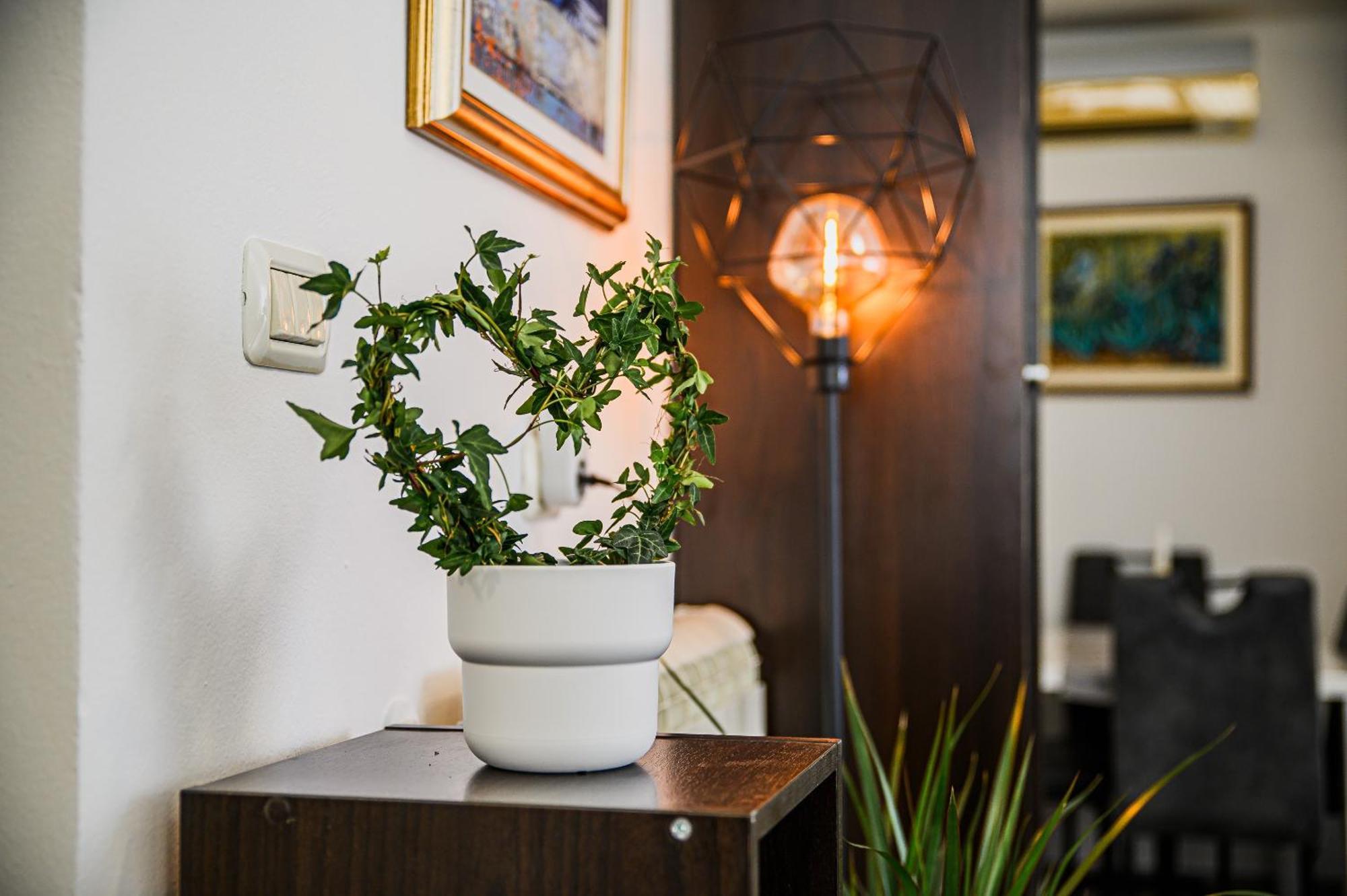 Apartments 888 ボヴェツ 部屋 写真